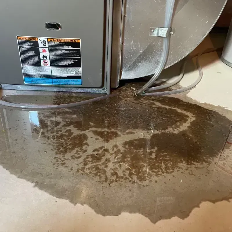 Appliance Leak Cleanup in Duck Hill, MS